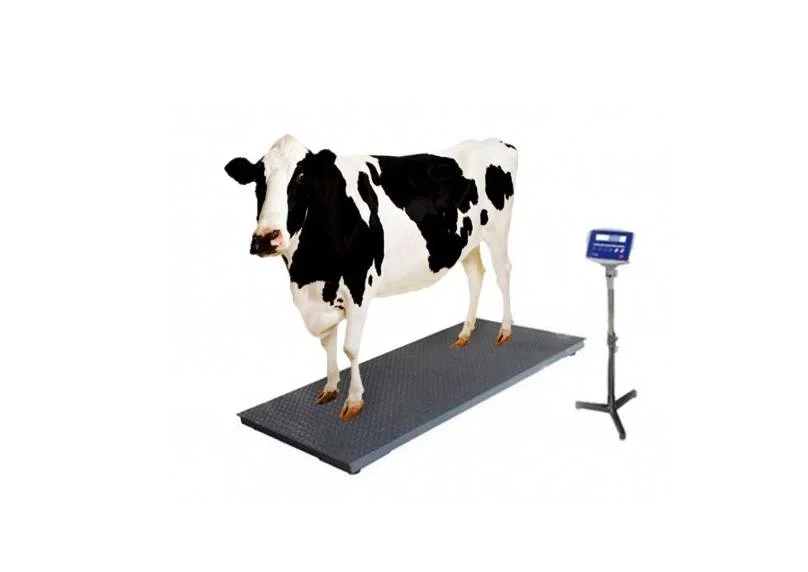 Digital Weight Machine